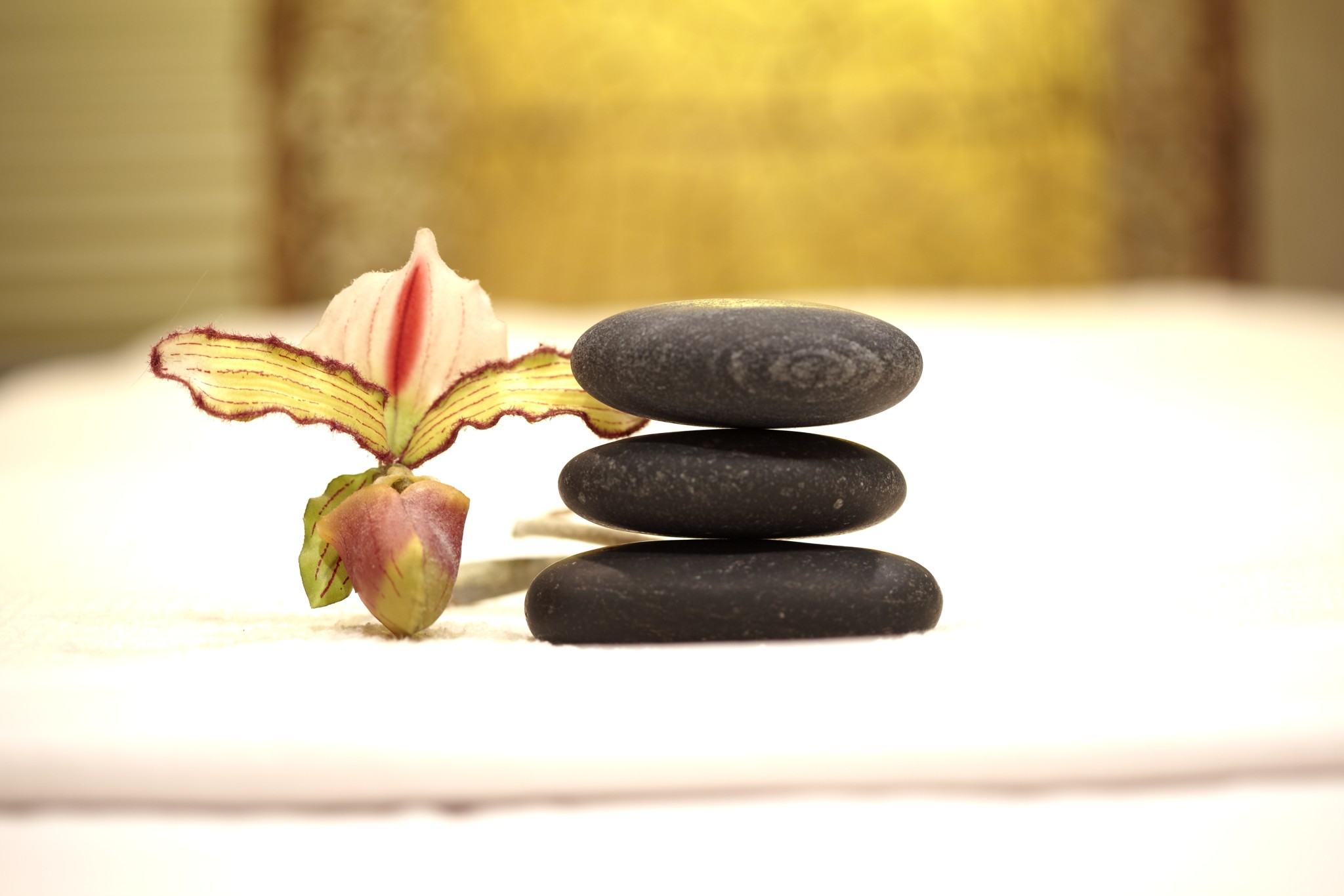 Aveda Hair Salon Brookfield Nail Salons Brookfield WI VICÍ Capilli